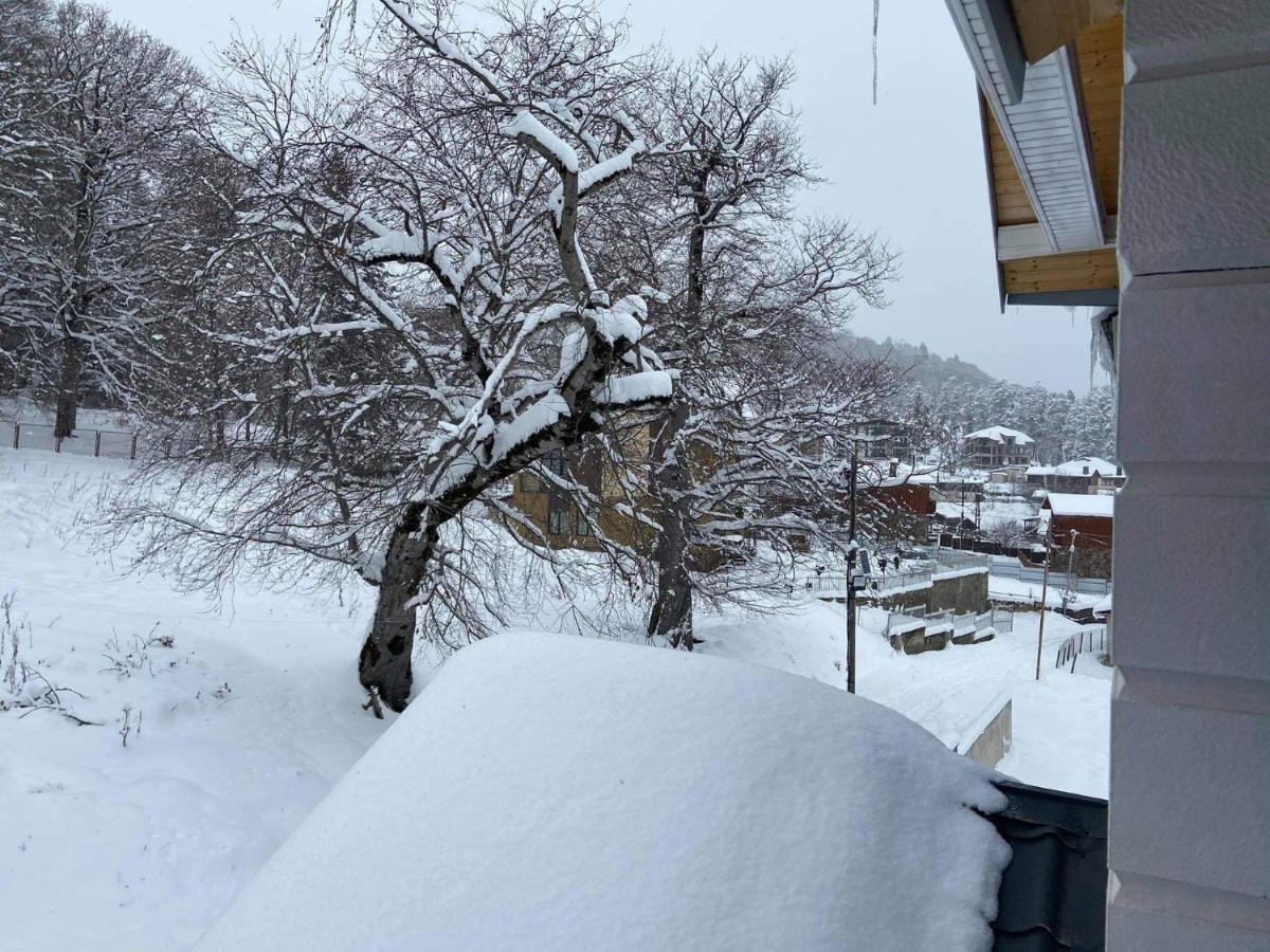 Blue Heaven Otel Bakuriani Dış mekan fotoğraf