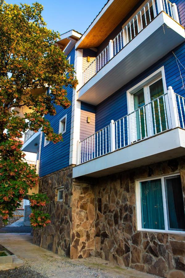 Blue Heaven Otel Bakuriani Dış mekan fotoğraf